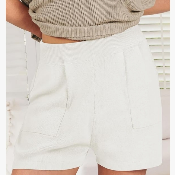 Caracilia Pleated Knit Shorts - EUC - Picture 1 of 7